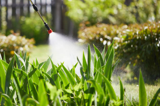 Tamper-Resistant Bait Stations for Rodents in Salmon