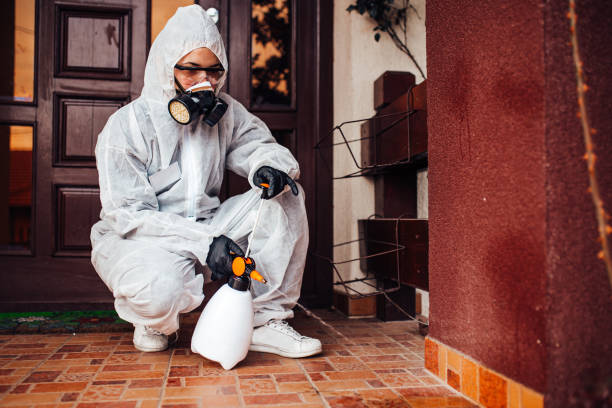 Attic and Crawl Space Rodent Treatment in Salmon